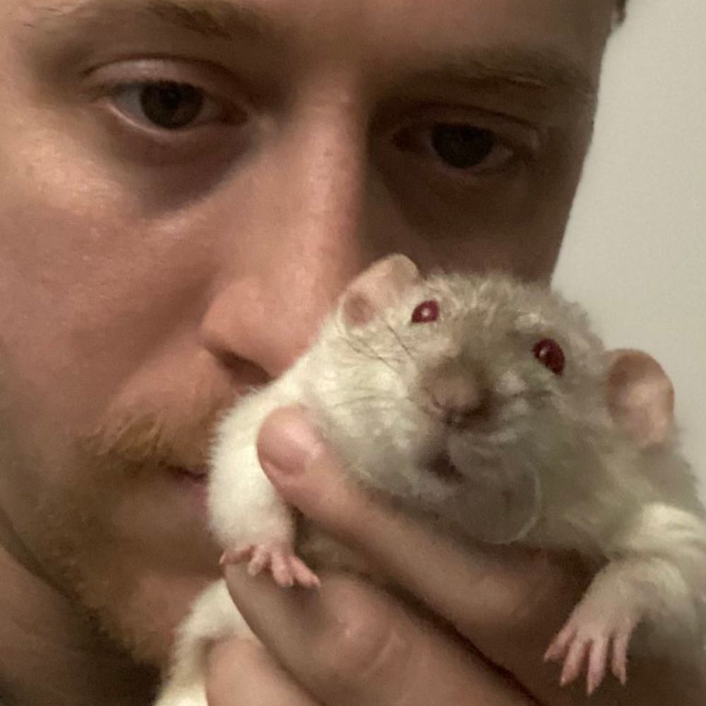 rat ☭ hands