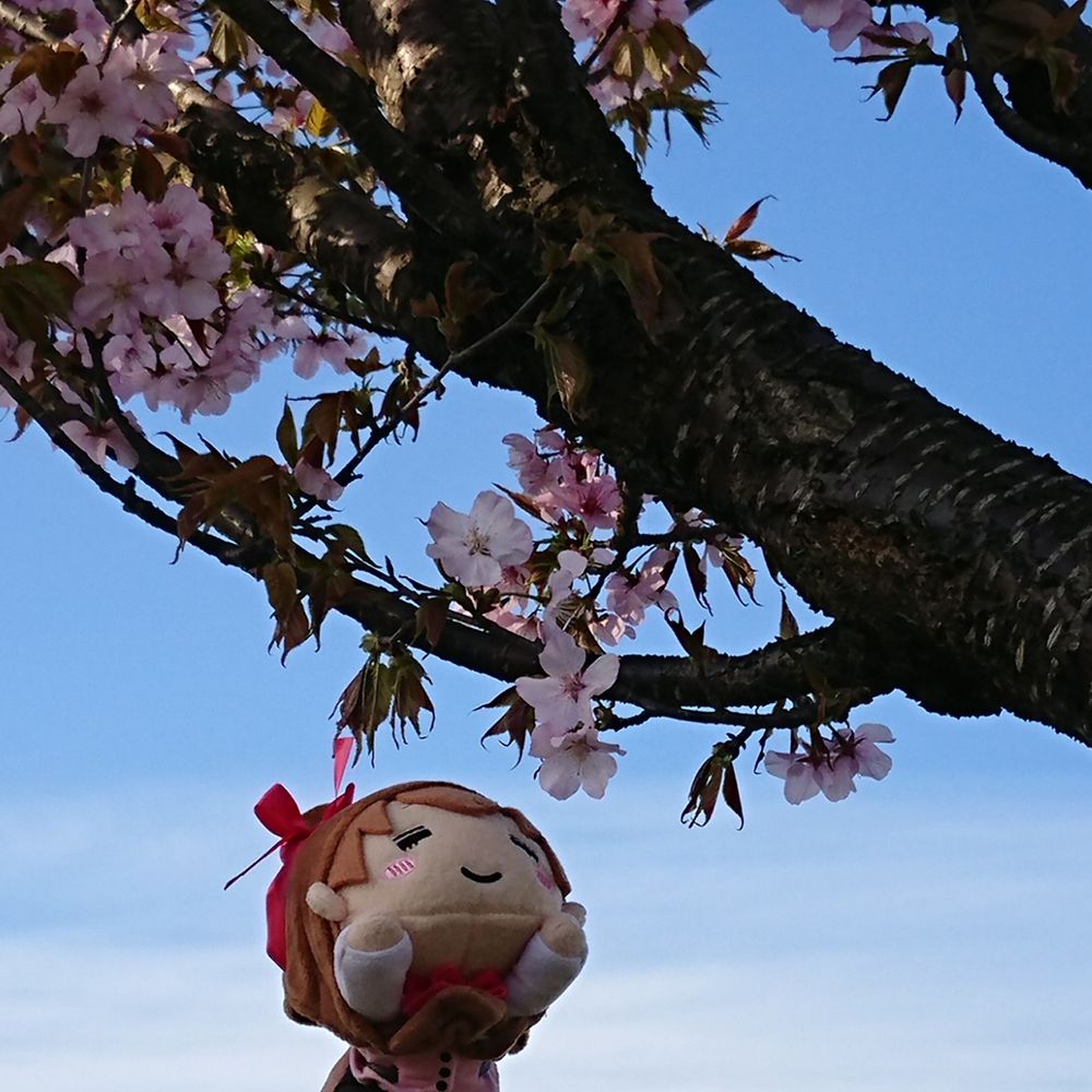 なんかこんなの🥐🌸