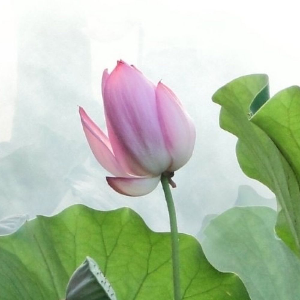 小廢物