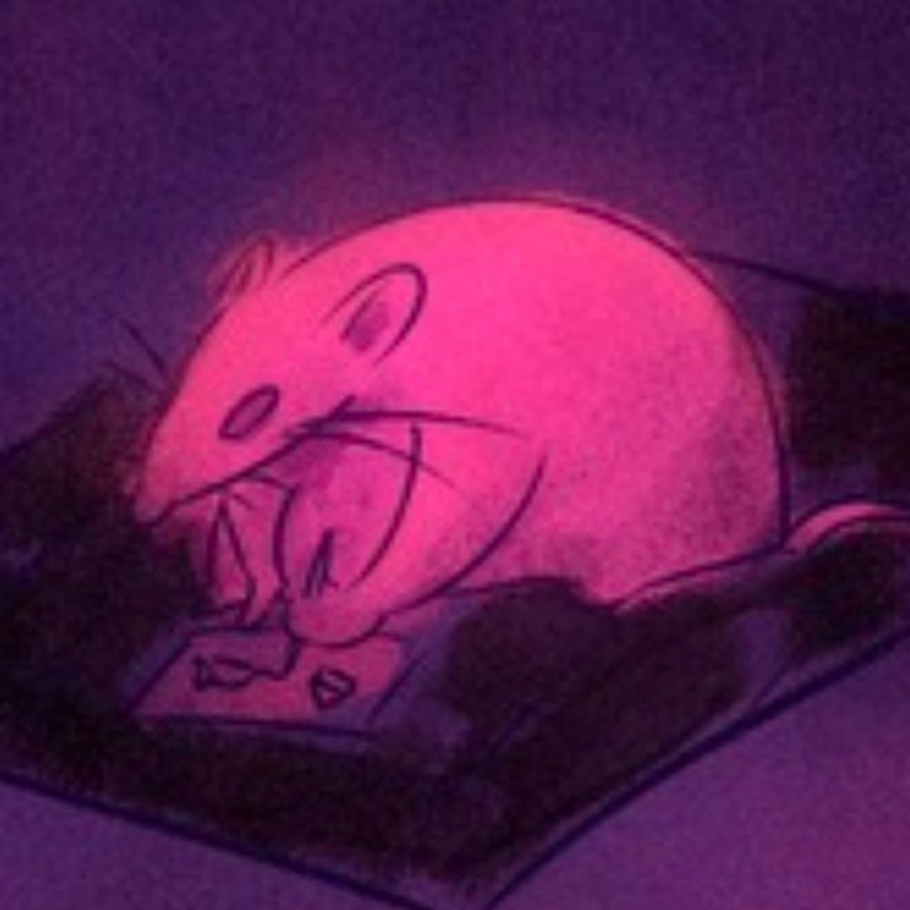 Stew Rat