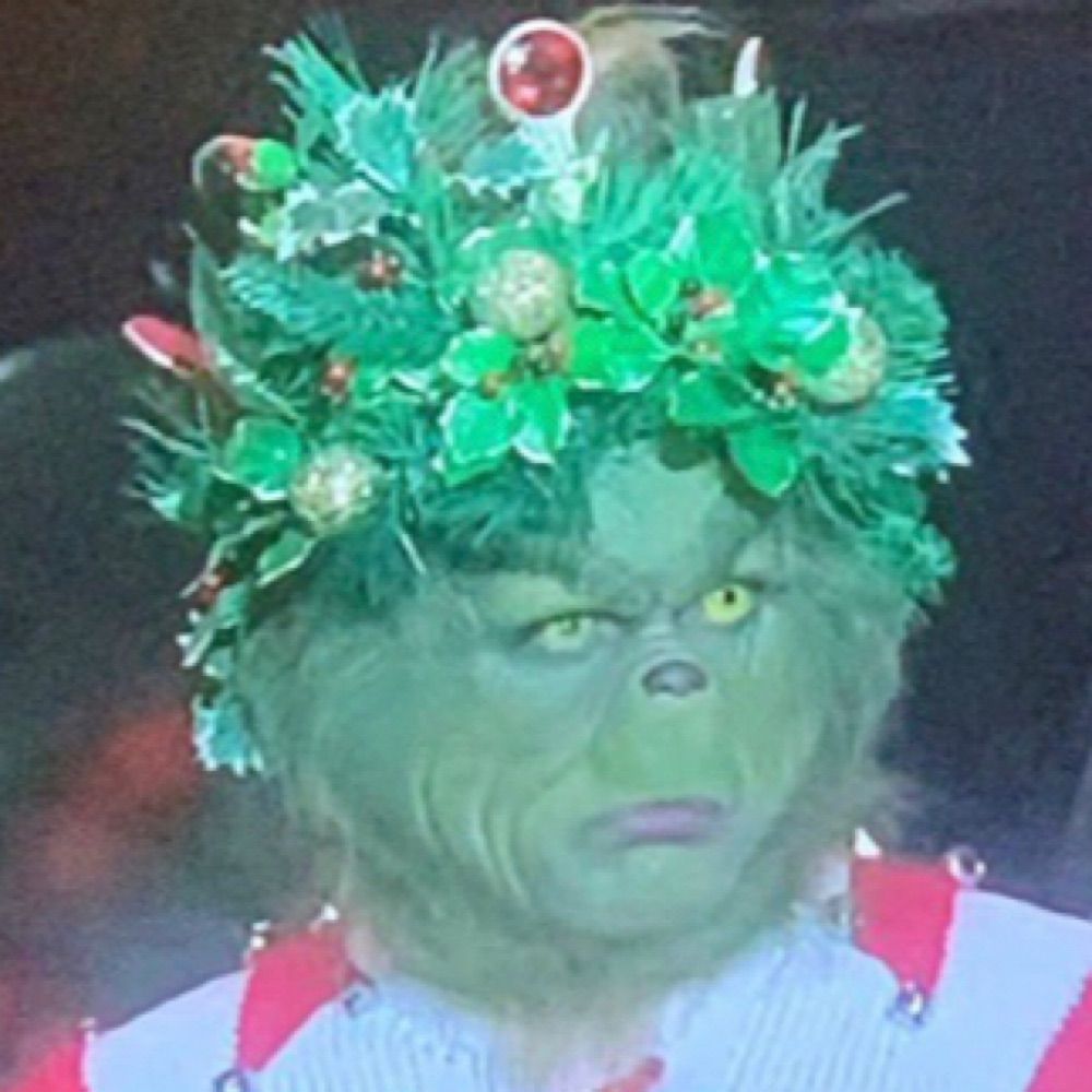 Actual grinch 
