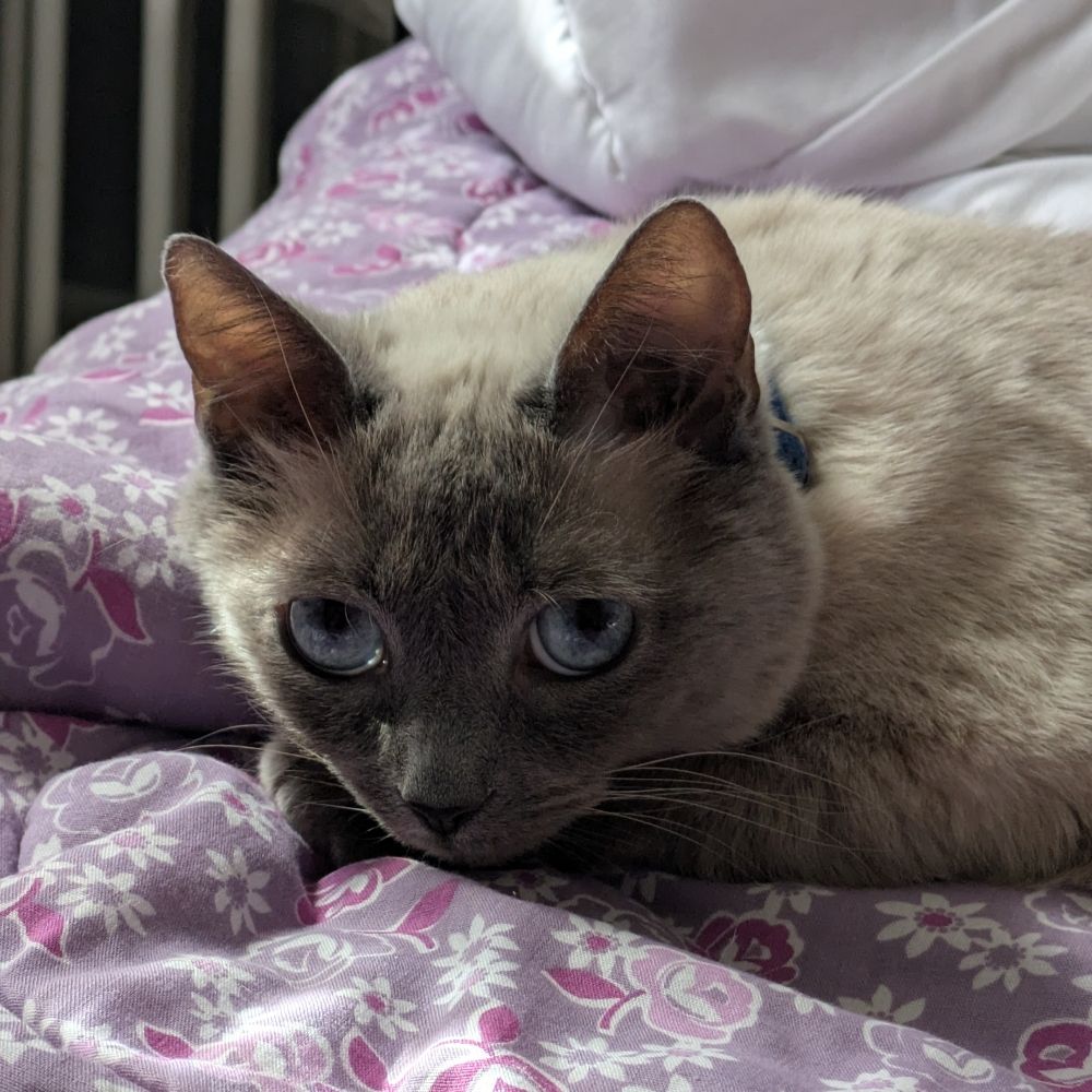 Lulu