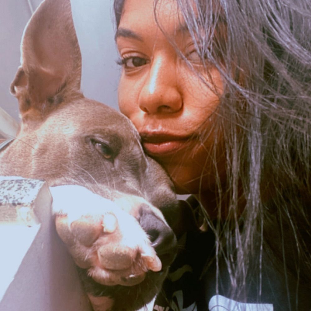 dedessa