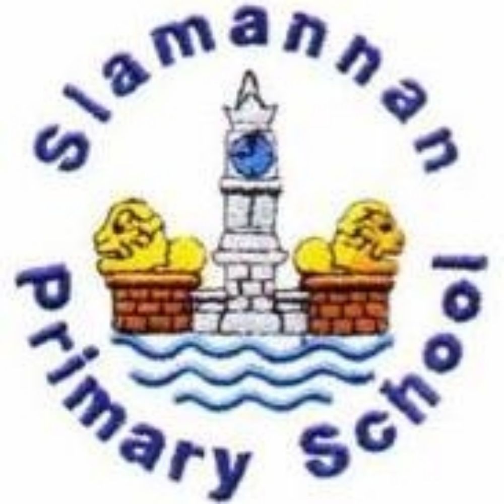Slamannan Primary School HT