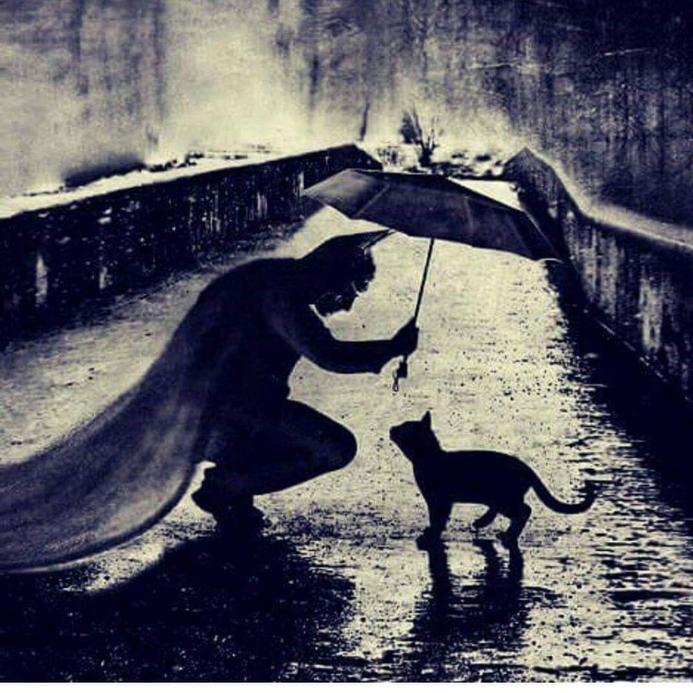 Ed Adams
