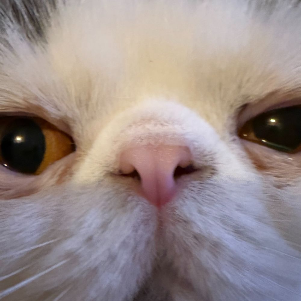 Paul