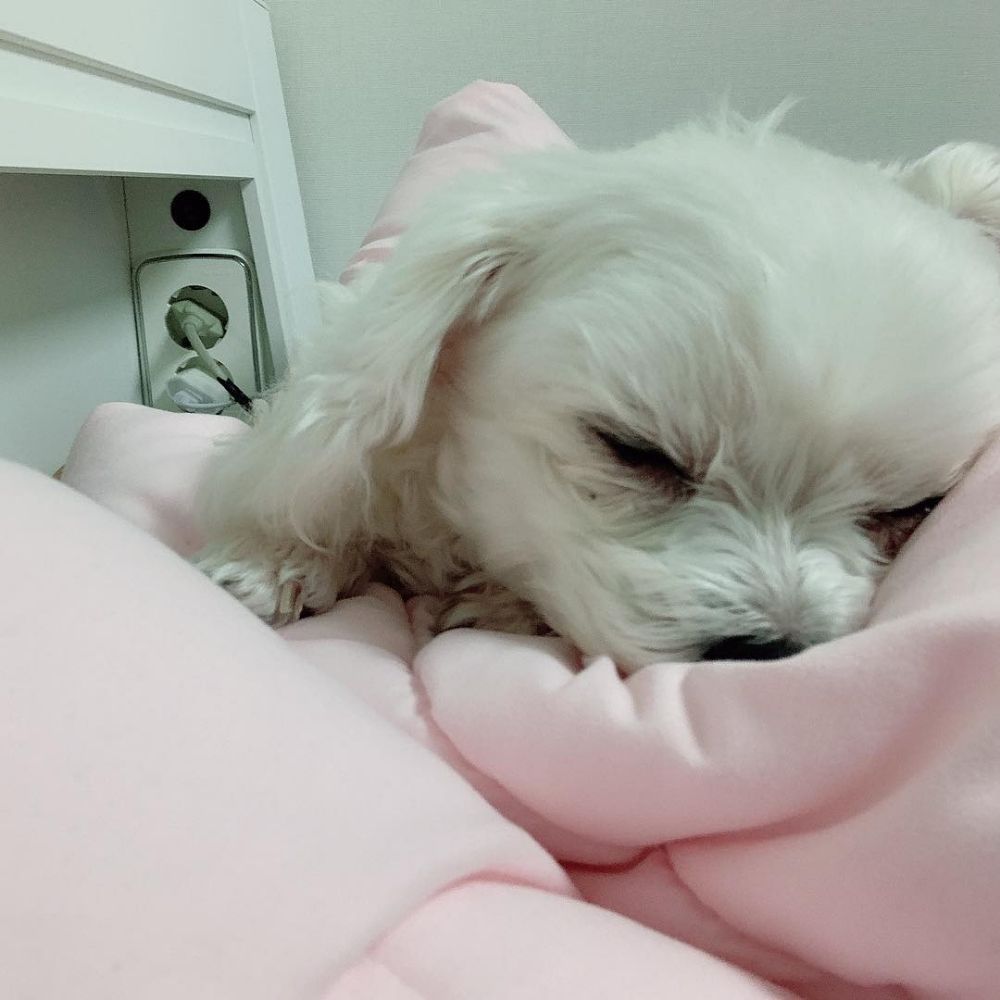 닝닝찌