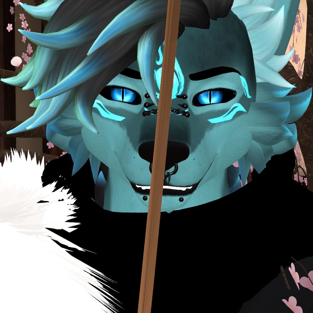 mdhammer5569.bsky.social