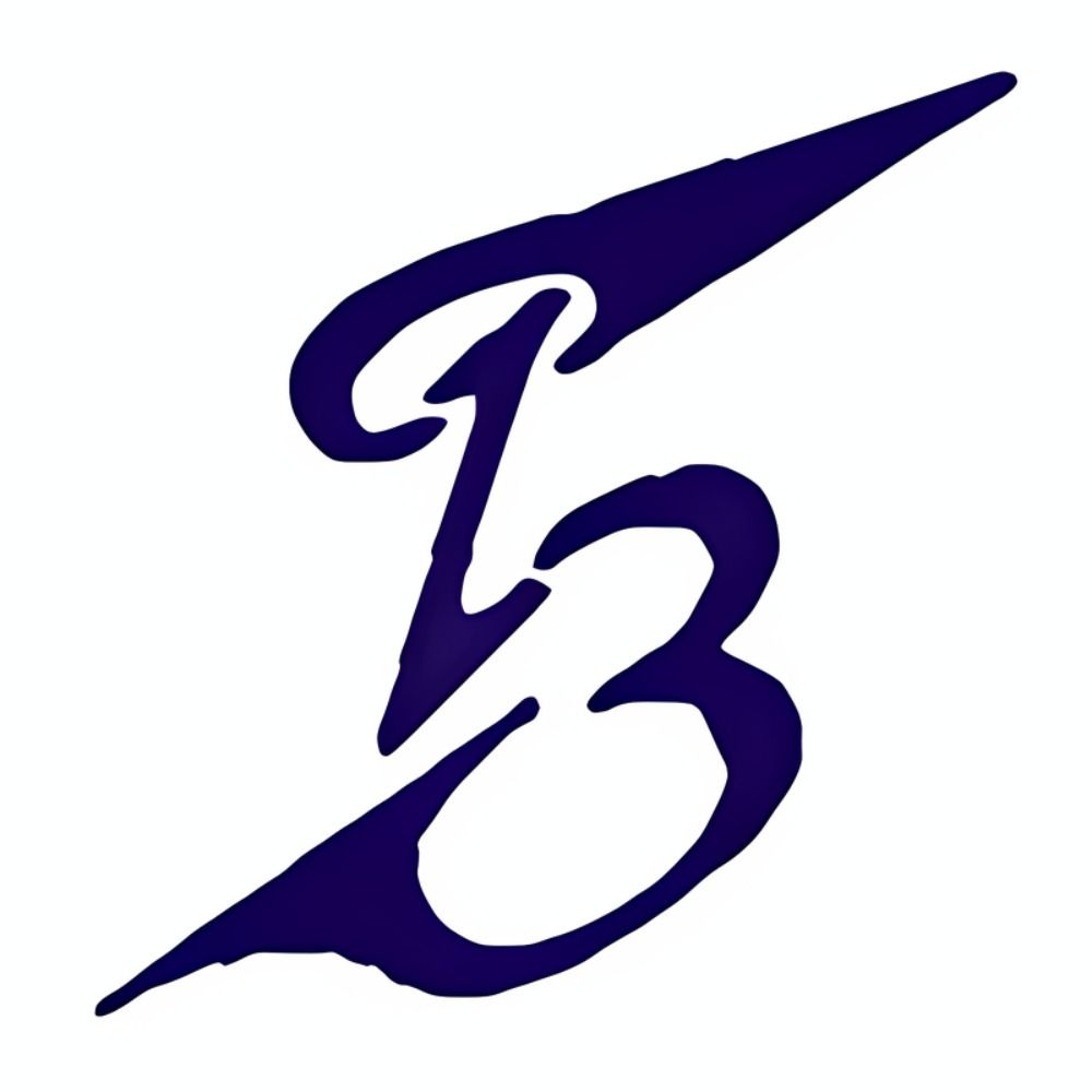 T3
