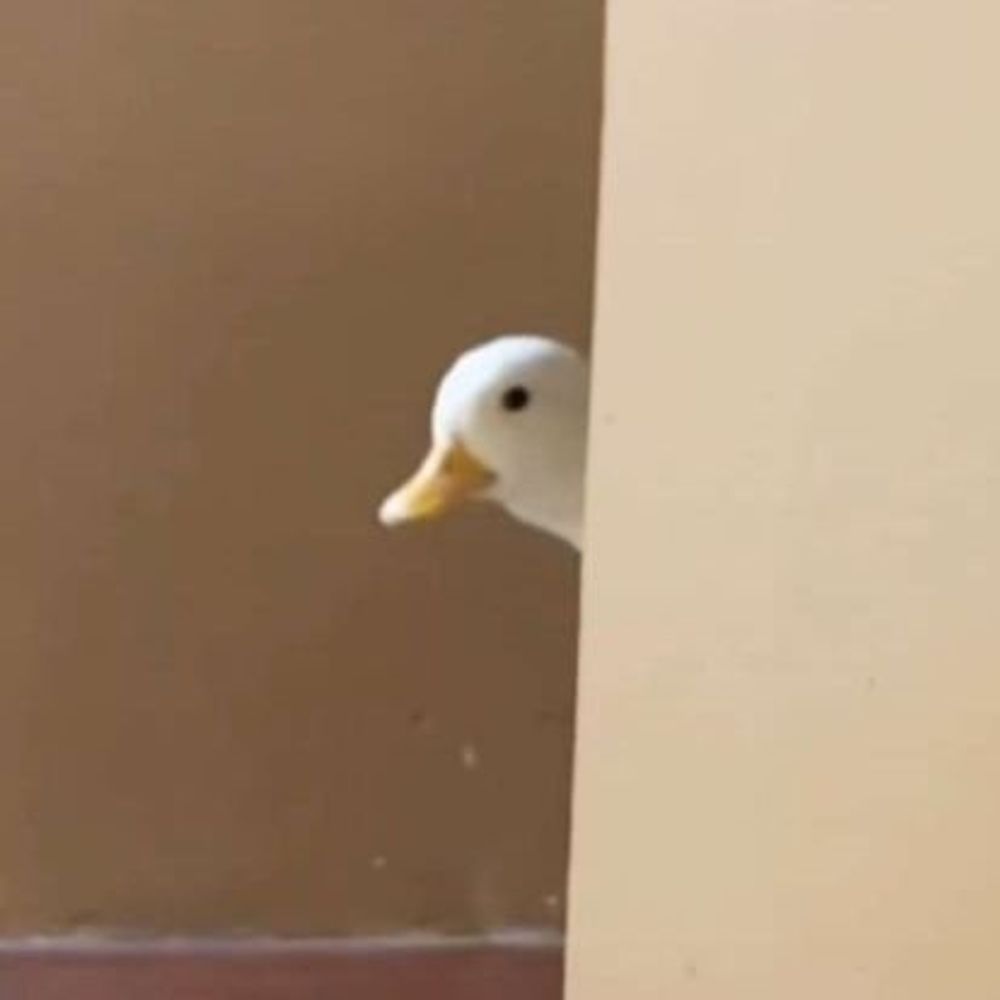 清