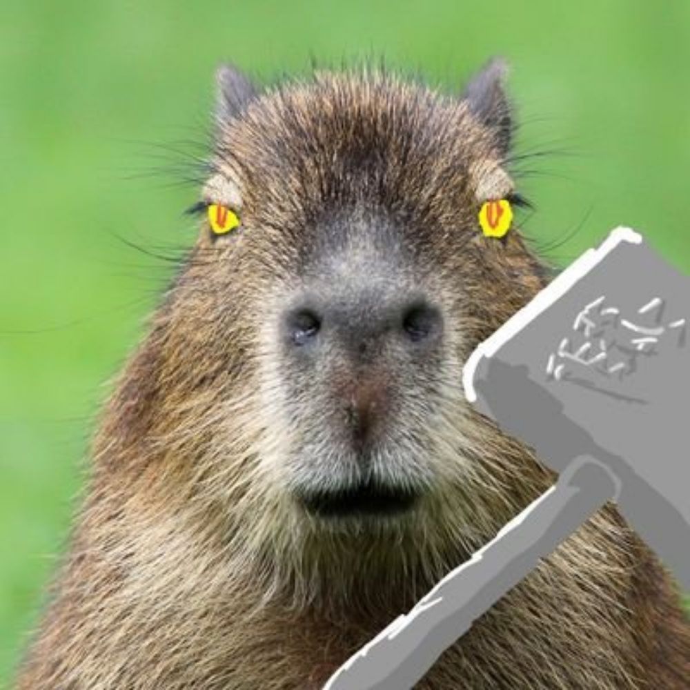 Perrin Capybara 🇲🇦🇵🇸