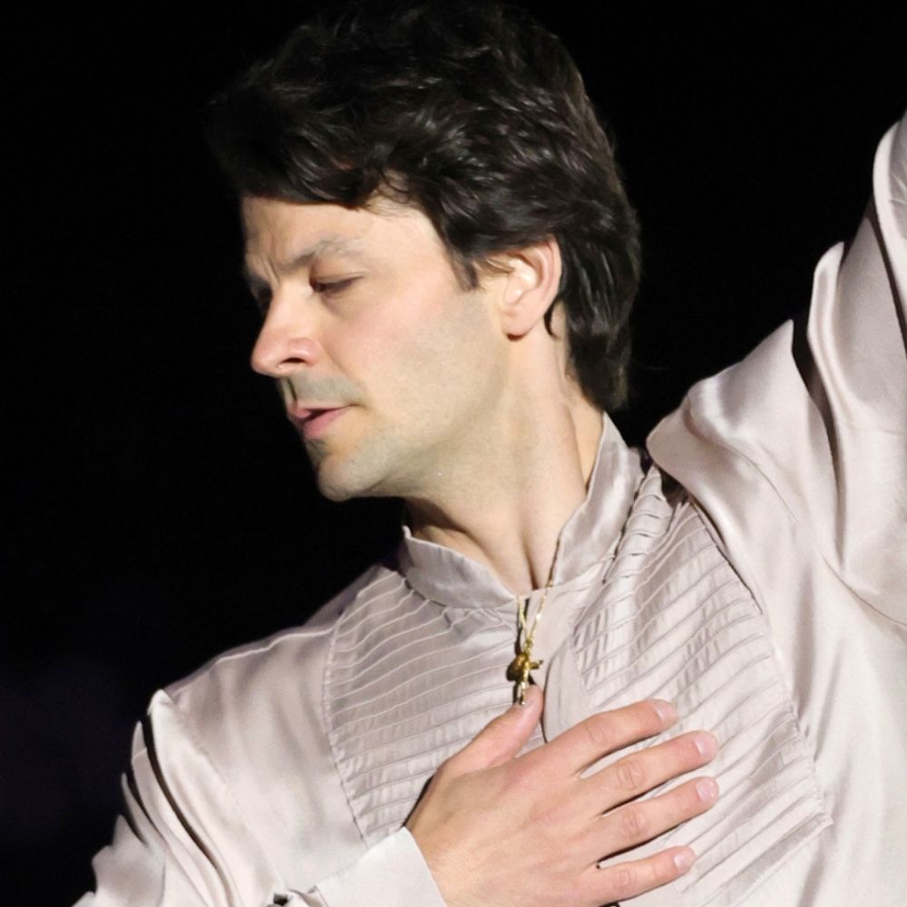 Elegance of Skaters