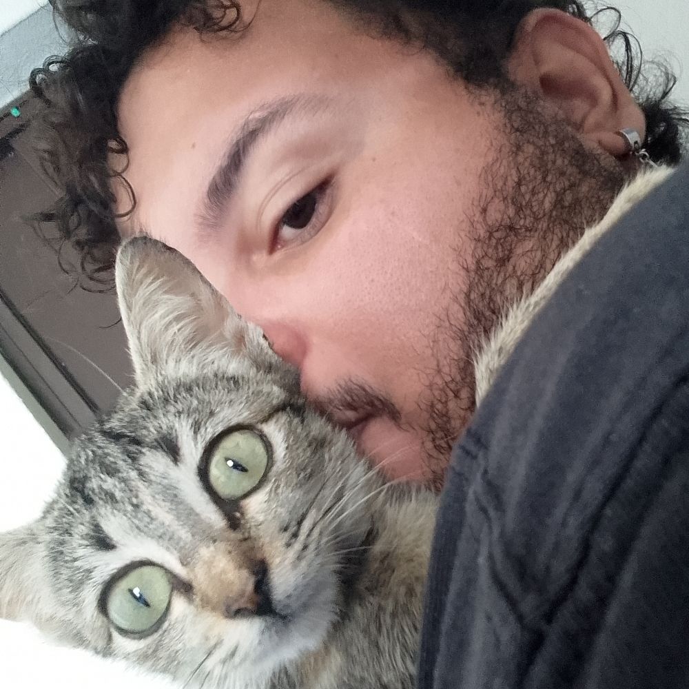 Mikka 