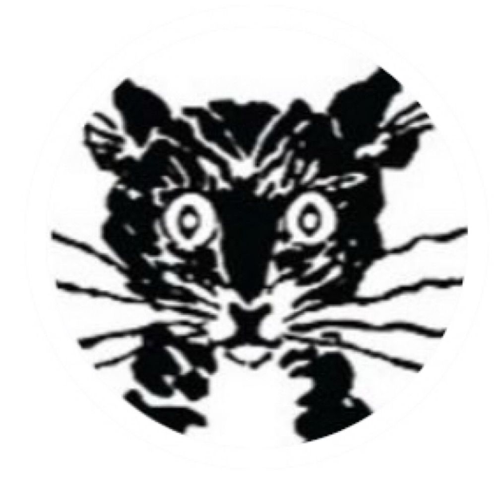 StarkRavingCat