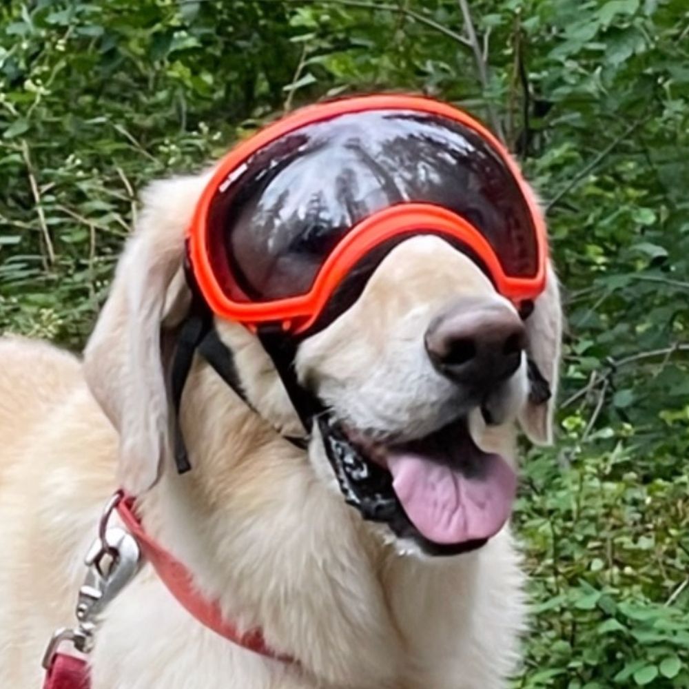 doc