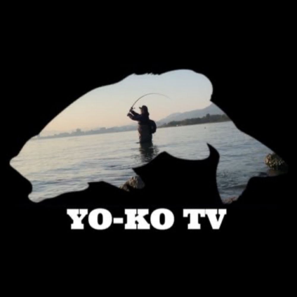 YO-KO（ヨーコ）