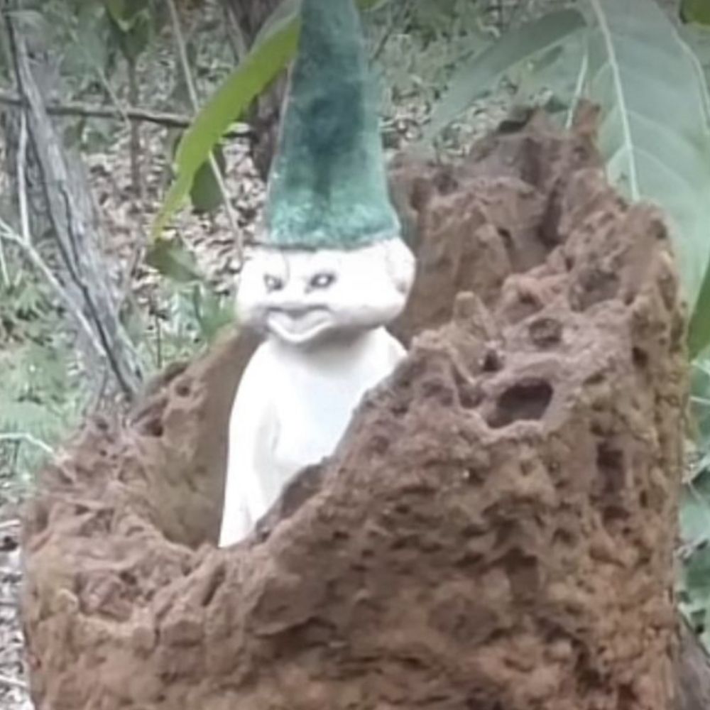 𝕽𝖊𝖌𝖎𝖓