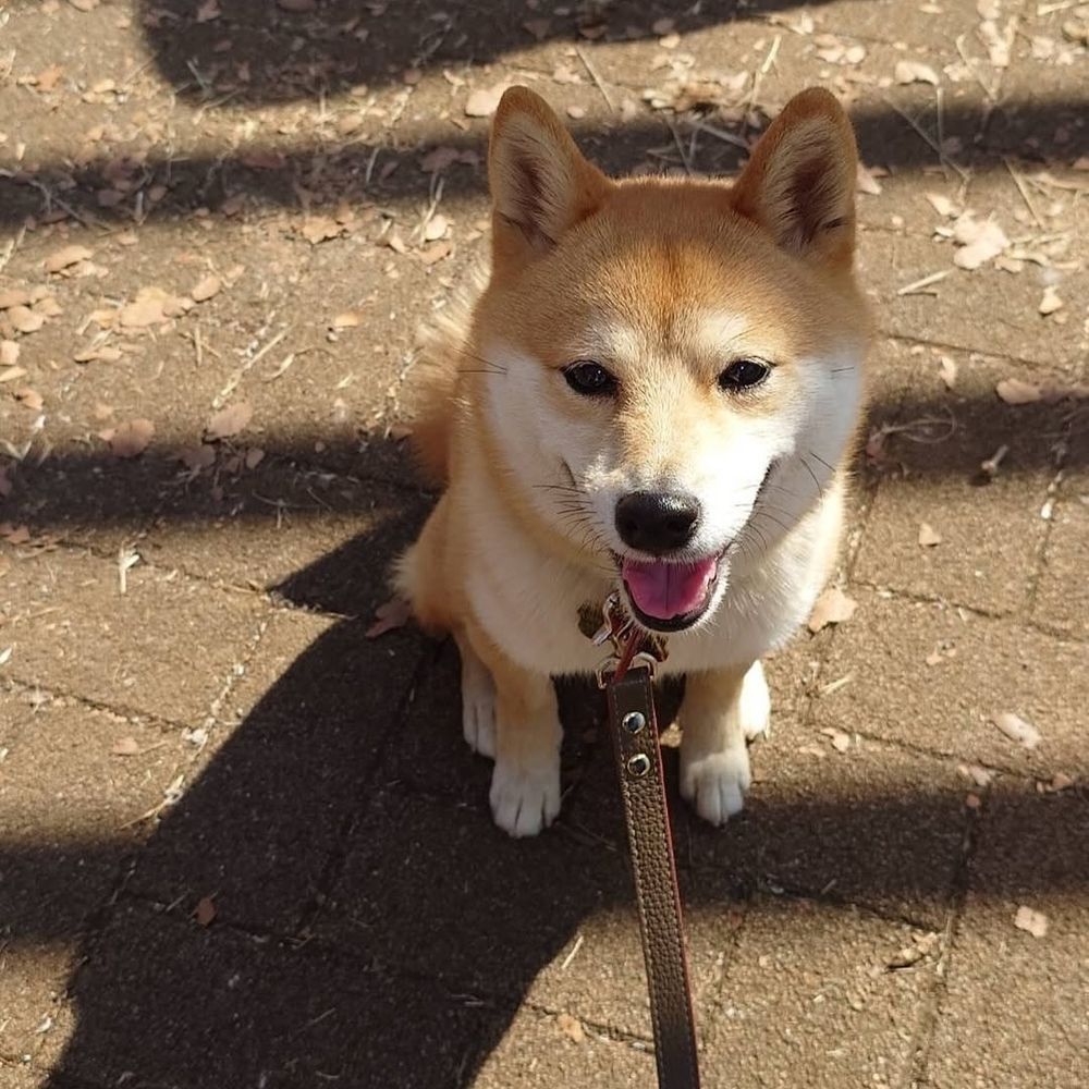 ちひろ