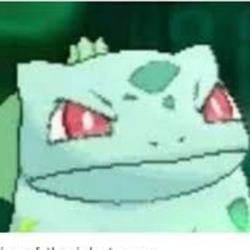 The Honourable Judge Bulbasaur