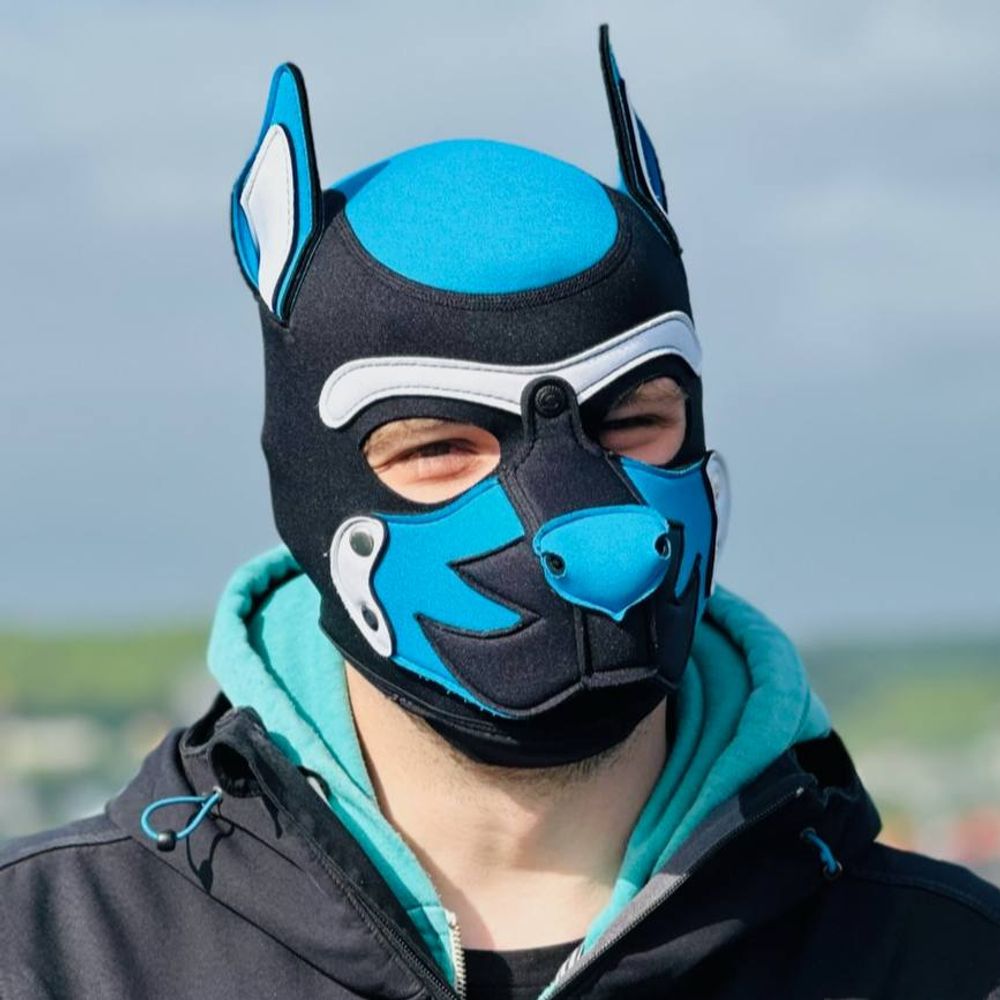 Pup Maxxi - Aqua Nosed Bernese (SFW)