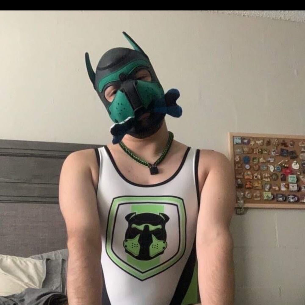 Bash the Pup