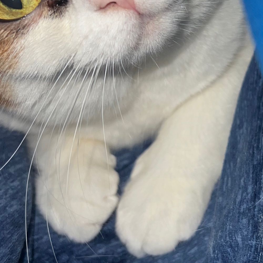ざいぜー