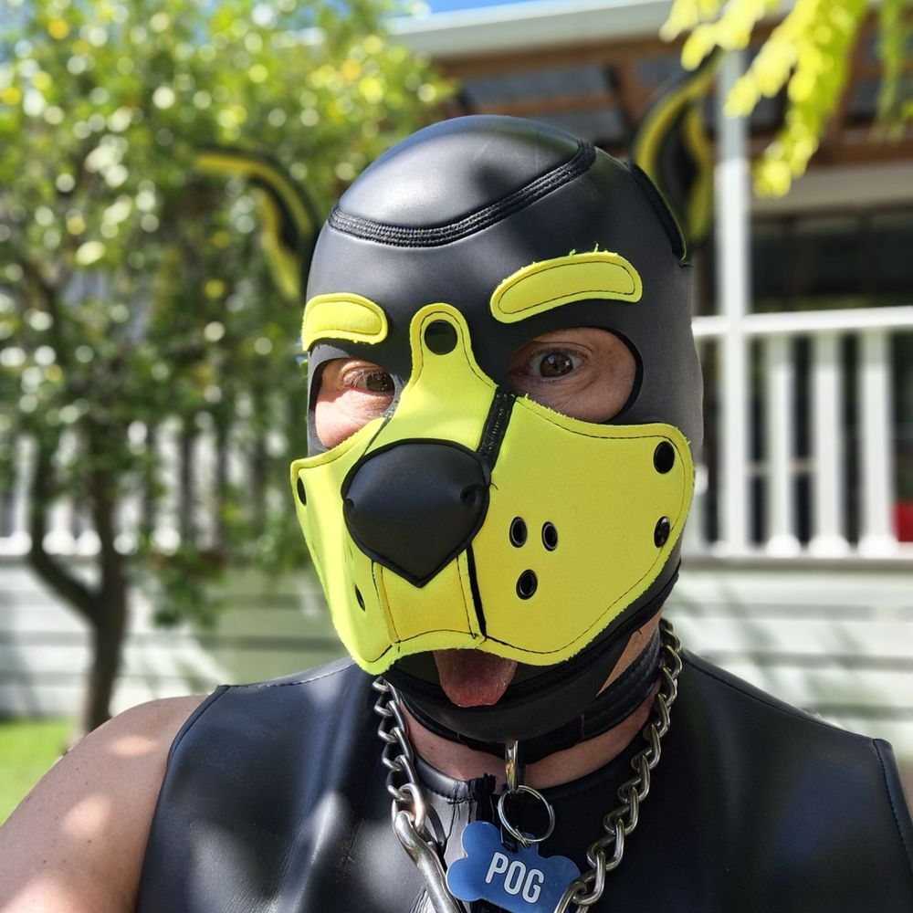 Pup Pog