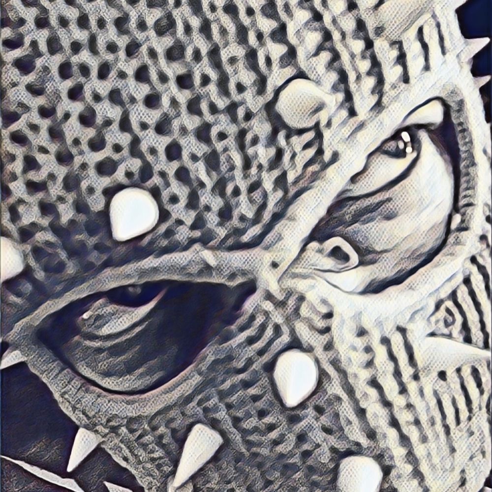anachrin.bsky.social profile picture