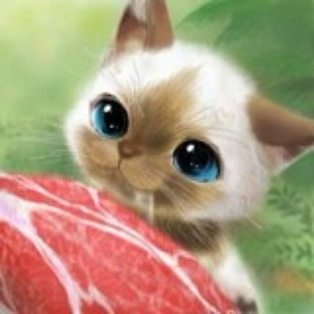 みさきち♪