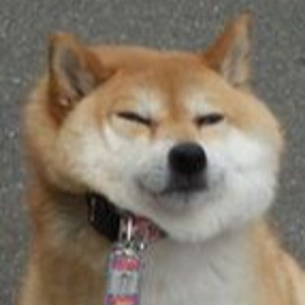 syusaki