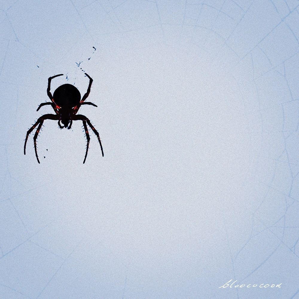 bloococoon