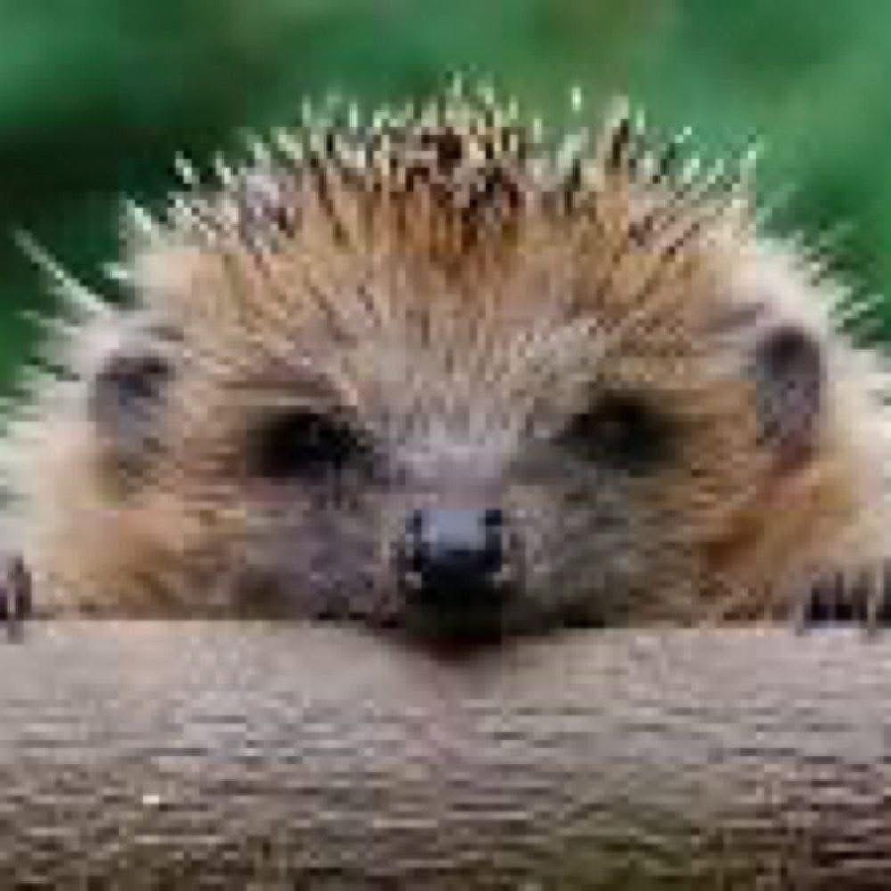 axj866.bsky.social profile picture