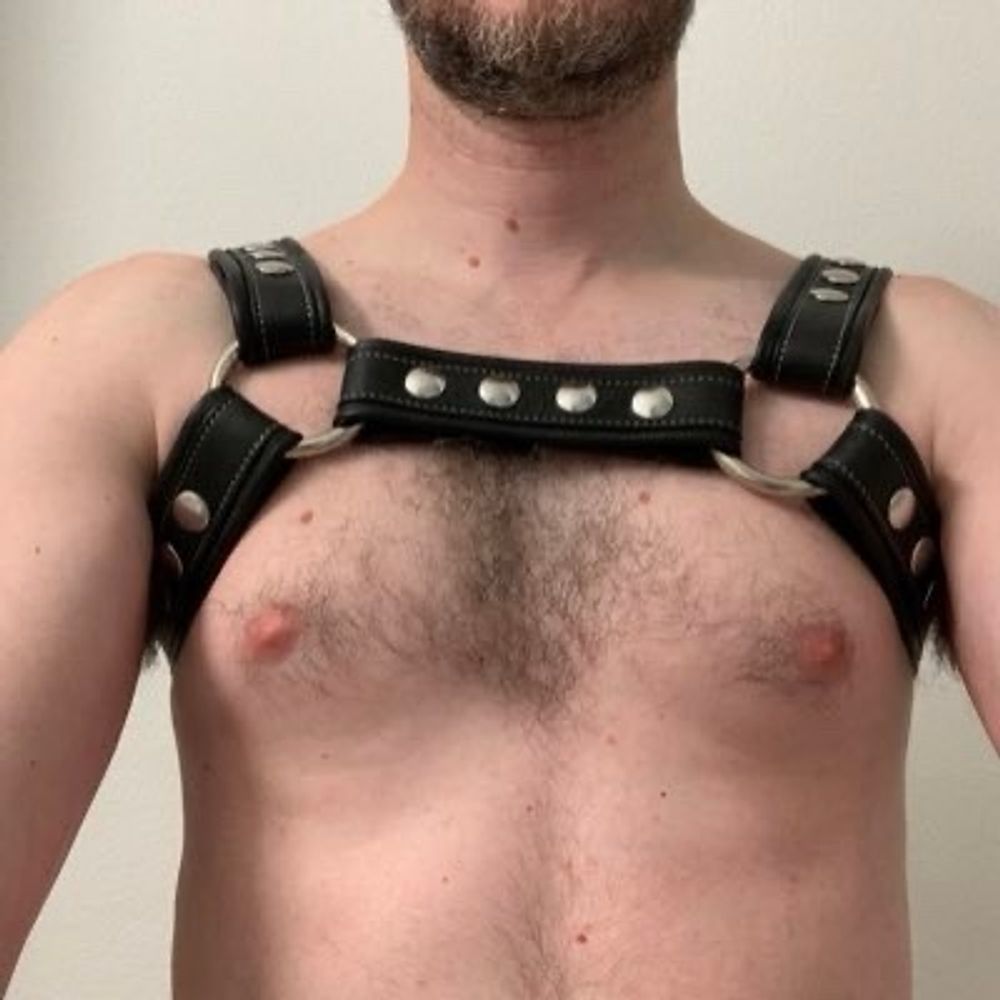 Hornytx