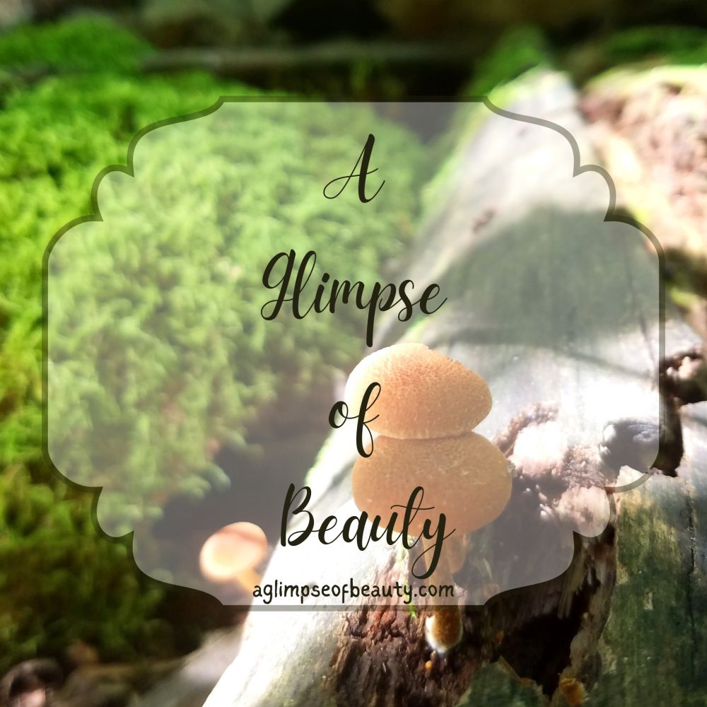 sparklingdiamond3.bsky.social