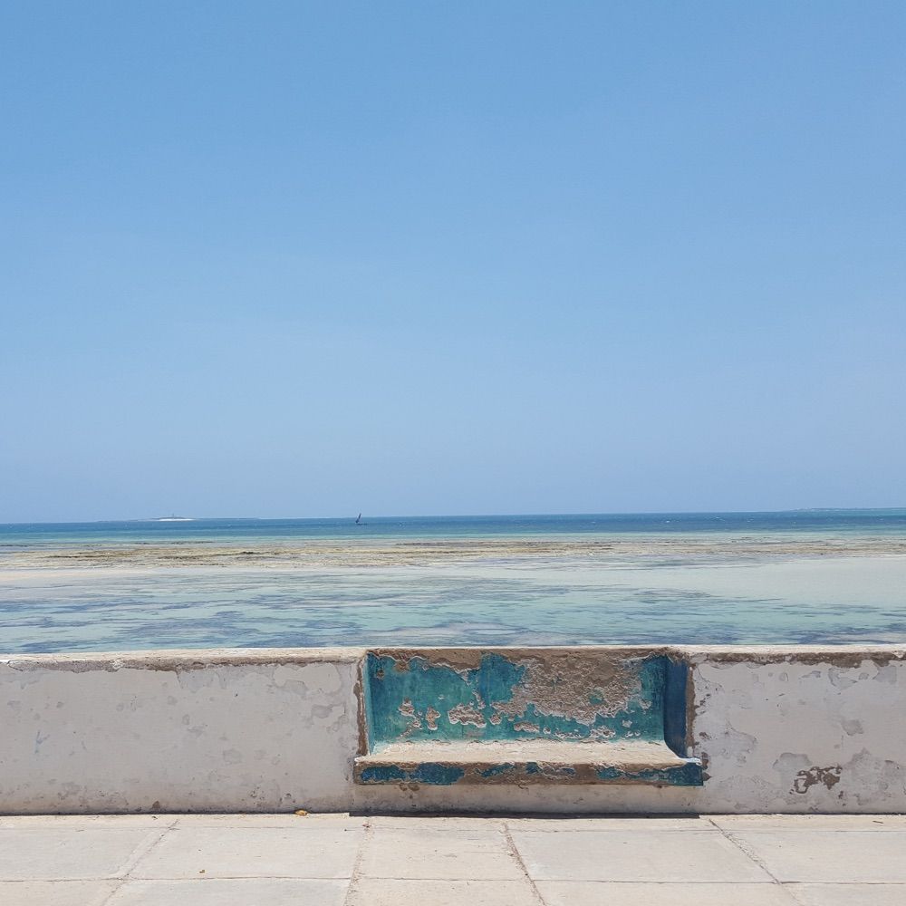 franciscobota.bsky.social