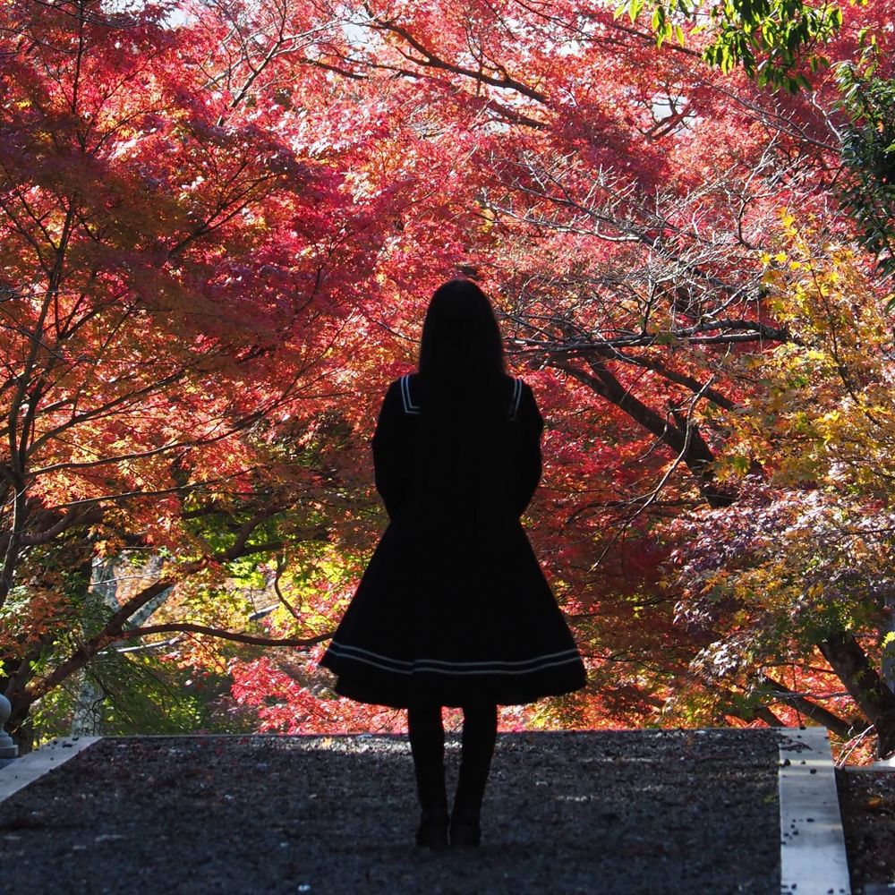 虎山加奈