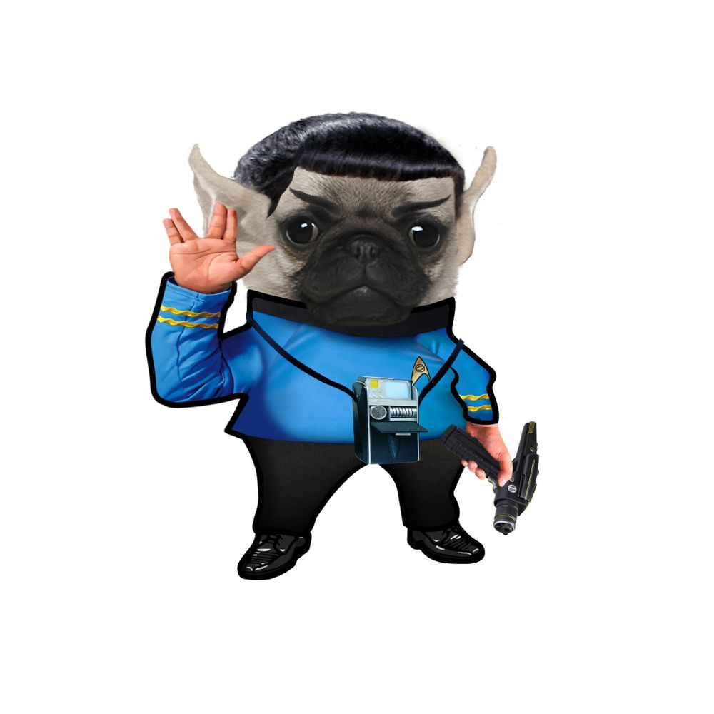 Profile picture fergusthepug.fellas.social