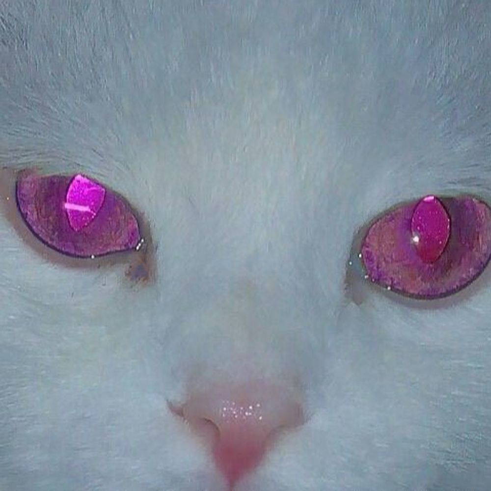 PREY 