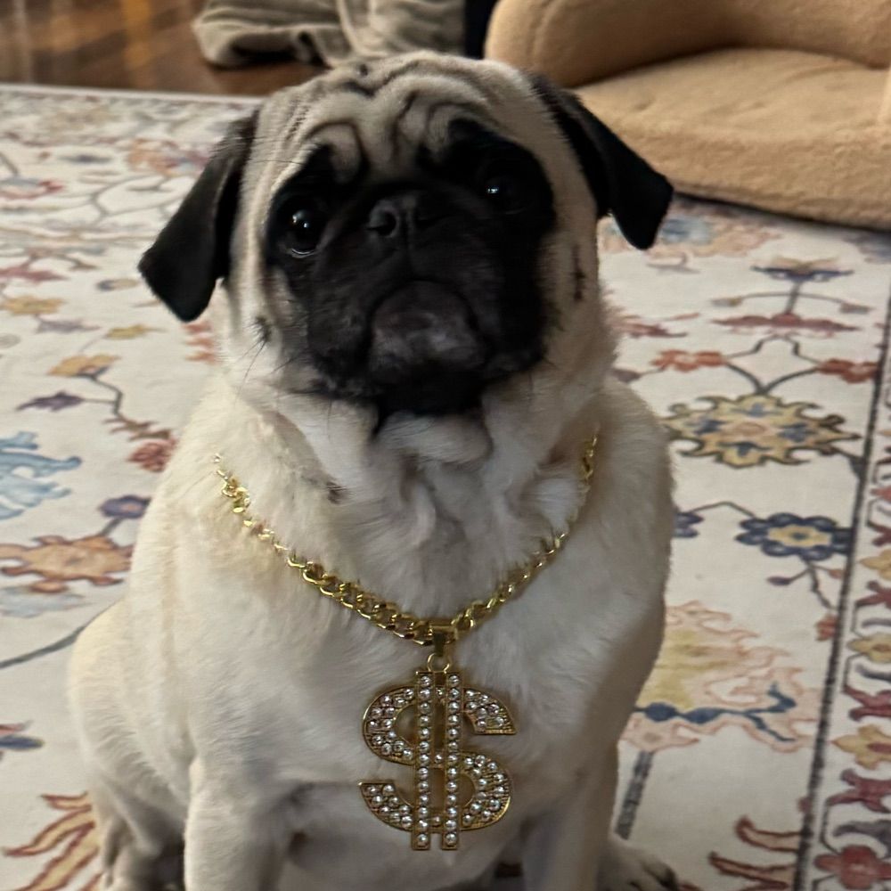 Penny