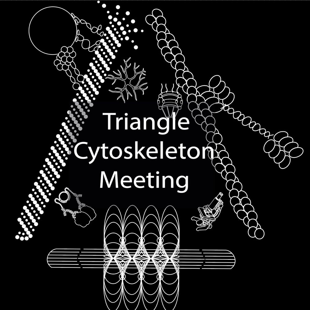 Triangle Cytoskeleton Meeting