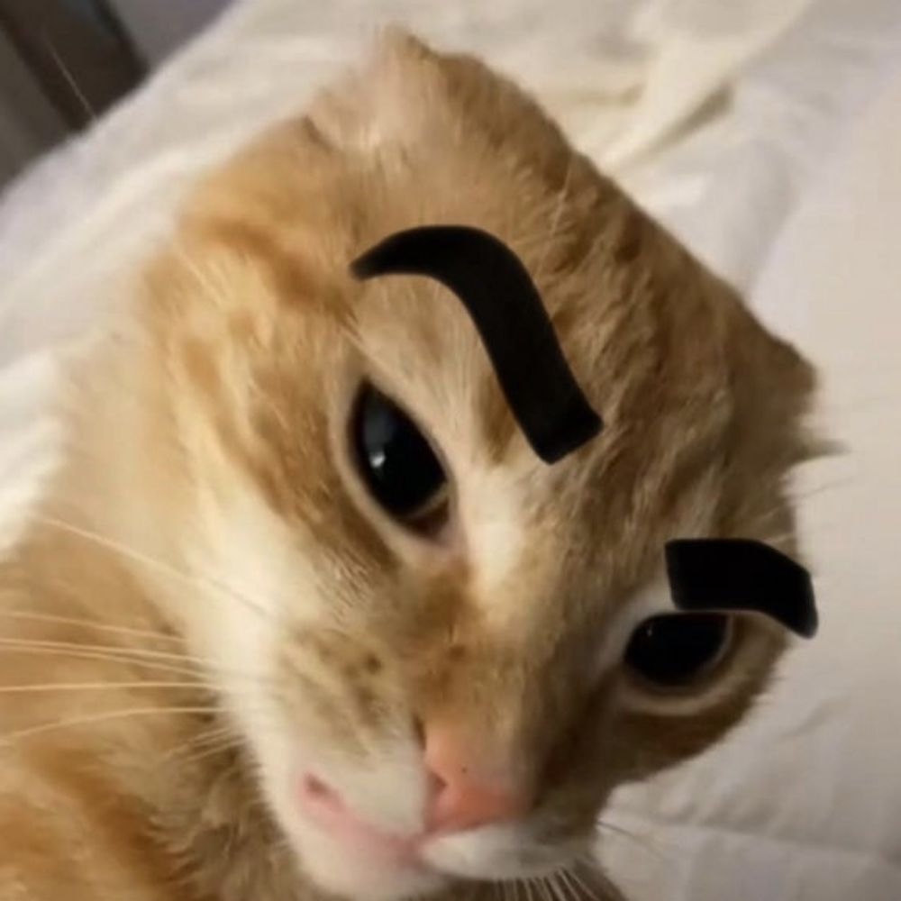 Gongle