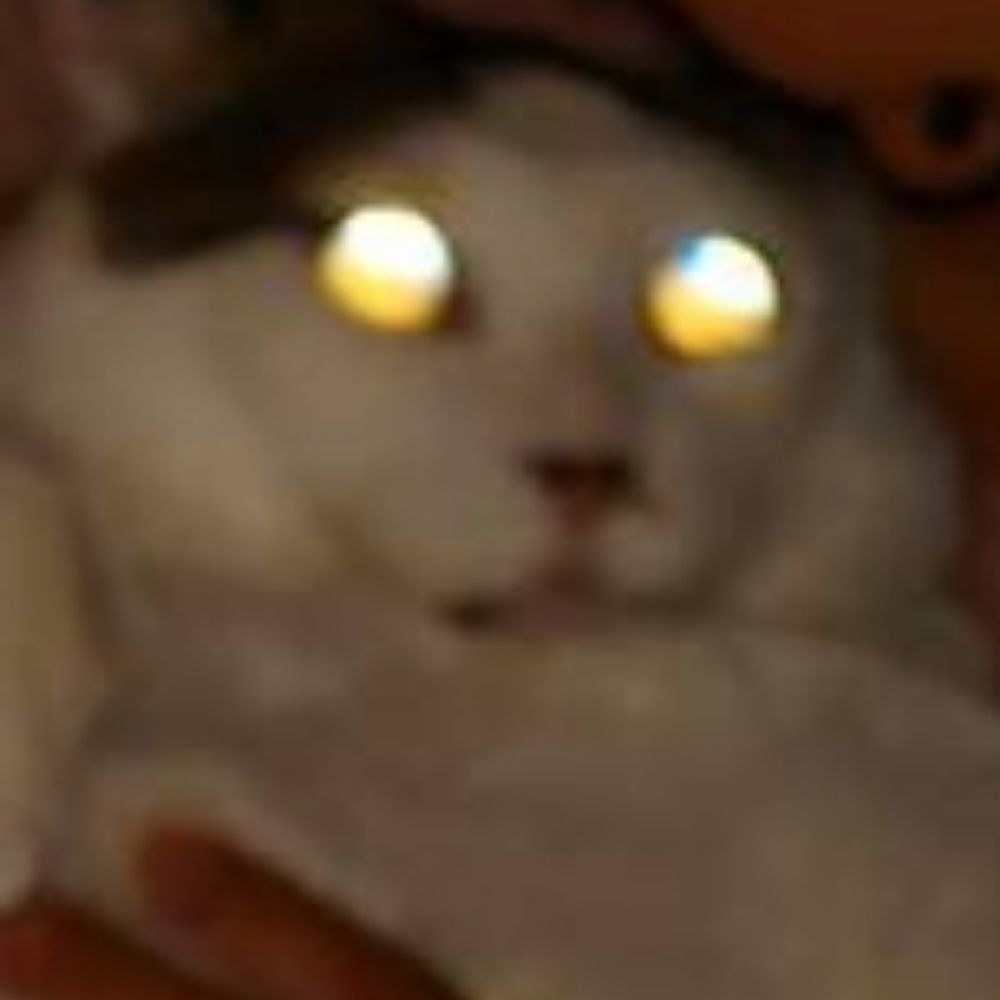 ｲﾄ