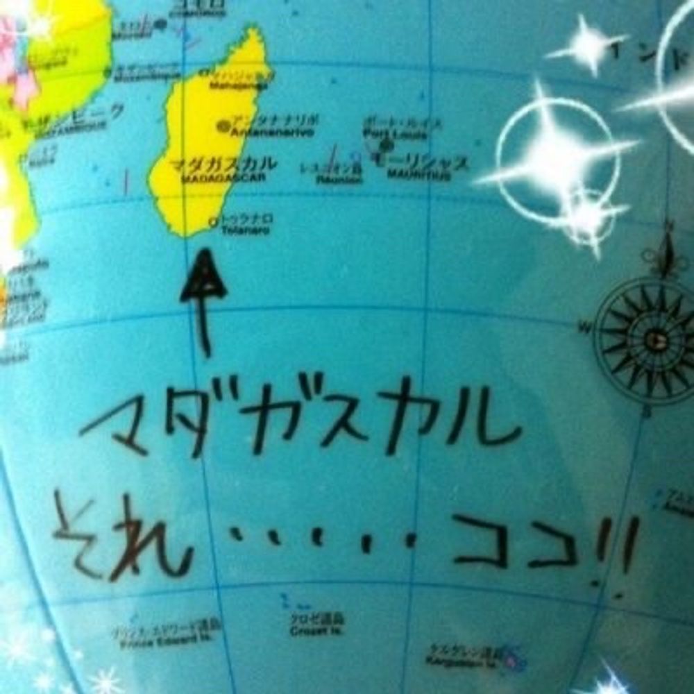 塩沢フォックス