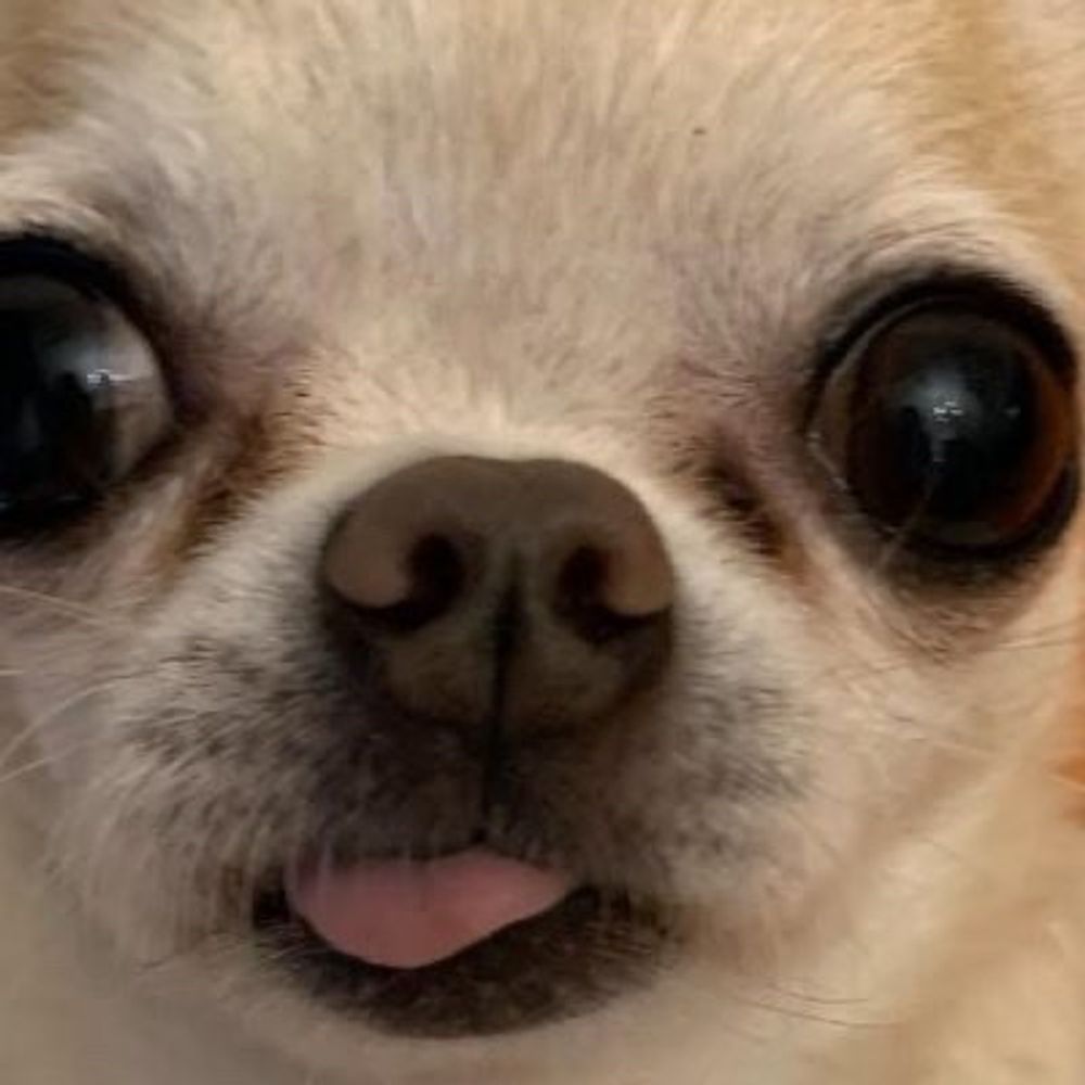 jmecx