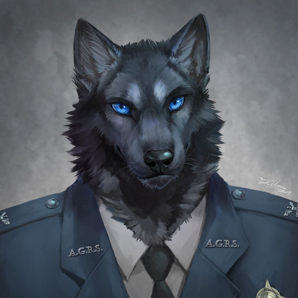 Sonic Wolfe