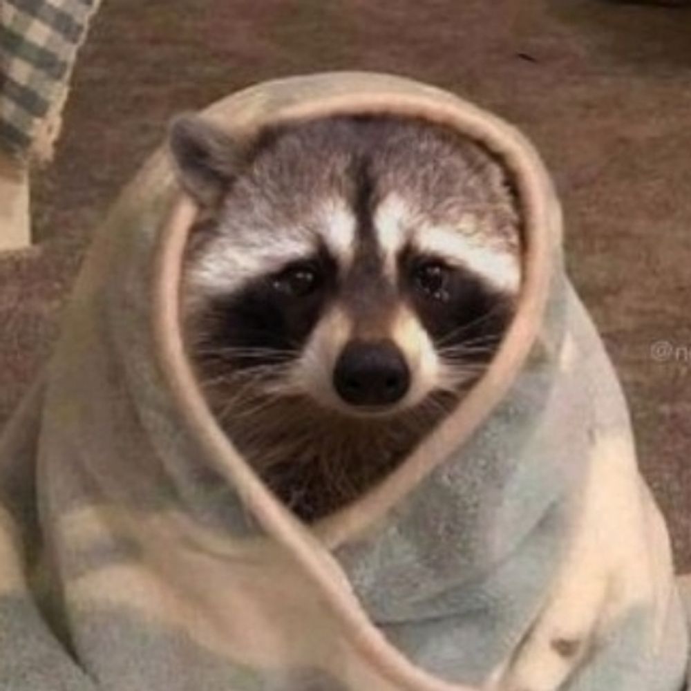 아꼰