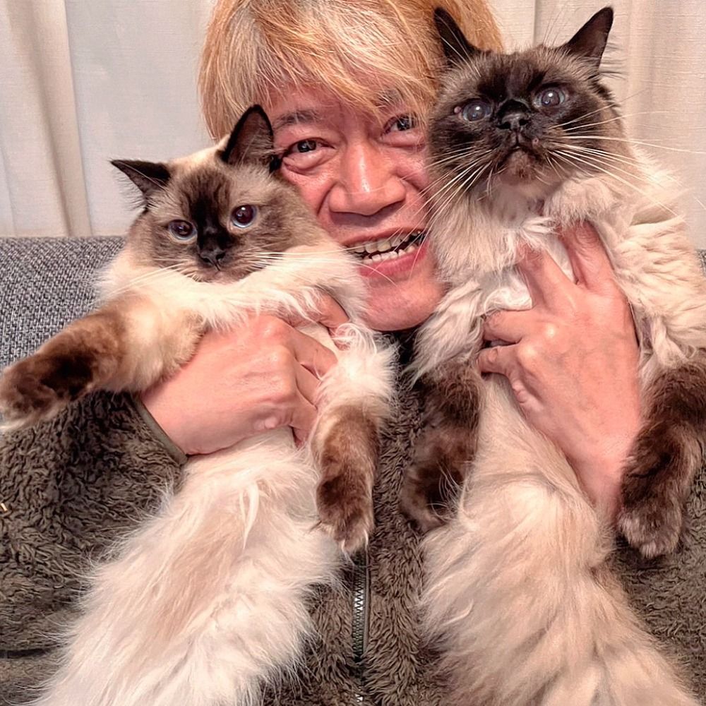 八木橋パチ
