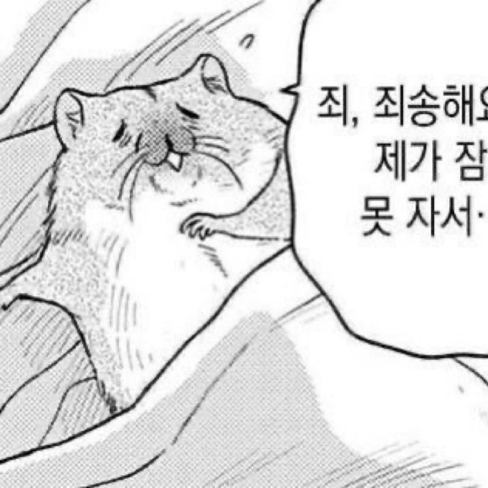 서온-투디계