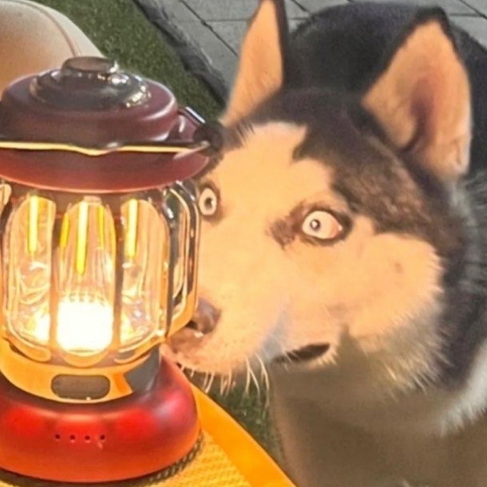 𝕸𝖔𝖙𝖍𝖊𝖗 𝕾𝖎𝖓𝖓𝖊𝖗