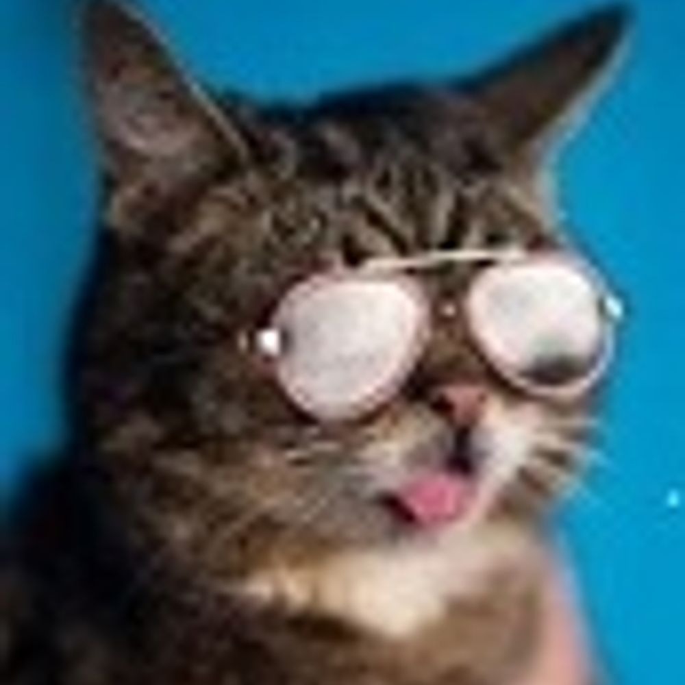 bratpack - USAF/DAV/VFW (OCD) => Obsessive Cat Disorder